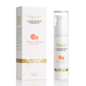 Универсальный массажный гель-смазка Allover Delicious Massage Gel с ароматом персика и аброкоса - 50 мл. - YESforLOV - купить с доставкой в Ачинске
