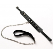 Черный ошейник с шипами и поводком - Crazy Handmade - купить с доставкой в Ачинске