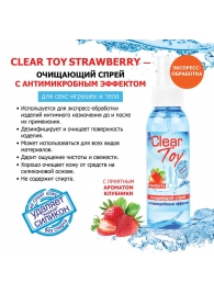 Очищающий спрей для игрушек CLEAR TOY Strawberry - 100 мл. - Биоритм - купить с доставкой в Ачинске