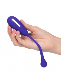 Фиолетовый шарик с электростимуляцией и вибрацией Intimate E-Stimulator Remote Kegel Exerciser - California Exotic Novelties - купить с доставкой в Ачинске