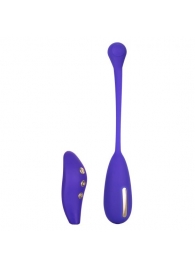 Фиолетовый шарик с электростимуляцией и вибрацией Intimate E-Stimulator Remote Kegel Exerciser - California Exotic Novelties - купить с доставкой в Ачинске