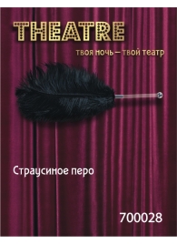 Чёрное страусовое пёрышко - ToyFa - купить с доставкой в Ачинске