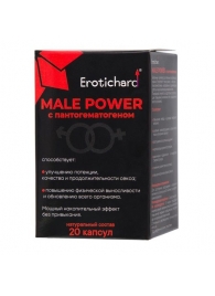 Капсулы для мужчин Erotichard male power с пантогематогеном - 20 капсул (0,370 гр.) - Erotic Hard - купить с доставкой в Ачинске