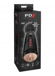 Мастурбатор-вагина с вибрацией Dirty Talk Starter Stroker - Pipedream - в Ачинске купить с доставкой