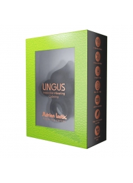 Черное эрекционное кольцо Lingus с вибрацией - Adrien Lastic - в Ачинске купить с доставкой