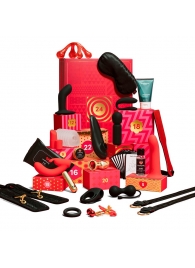 Адвент-календарь Lovehoney Couple’s Advent Calendar 2025 - We-vibe - купить с доставкой в Ачинске