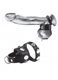 Утяжка для мошонки и пениса Cock Ring With 1  Ball Stretcher And Optional Weight Ring - BlueLine - купить с доставкой в Ачинске