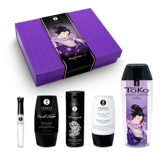 Подарочный набор Naughter Kit - Shunga - купить с доставкой в Ачинске