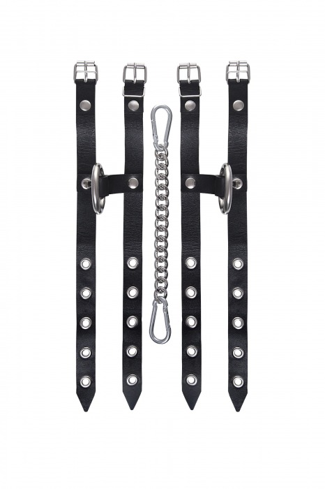Черные однослойные кожаные оковы из двух ремешков - Pecado - купить с доставкой в Ачинске