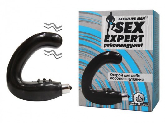 Чёрный массажёр простаты серии Sex Expert - Sex Expert - в Ачинске купить с доставкой