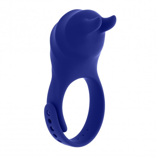 Синее эрекционное виброкольцо с клиторальной подушечкой и пультом ДУ Adjustable Fun Ring - Zero Tolerance - в Ачинске купить с доставкой