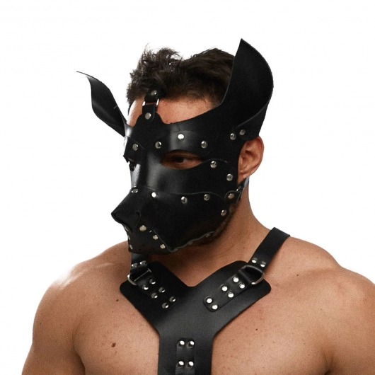 Черная кожаная маска «Собака» - Crazy Handmade - купить с доставкой в Ачинске