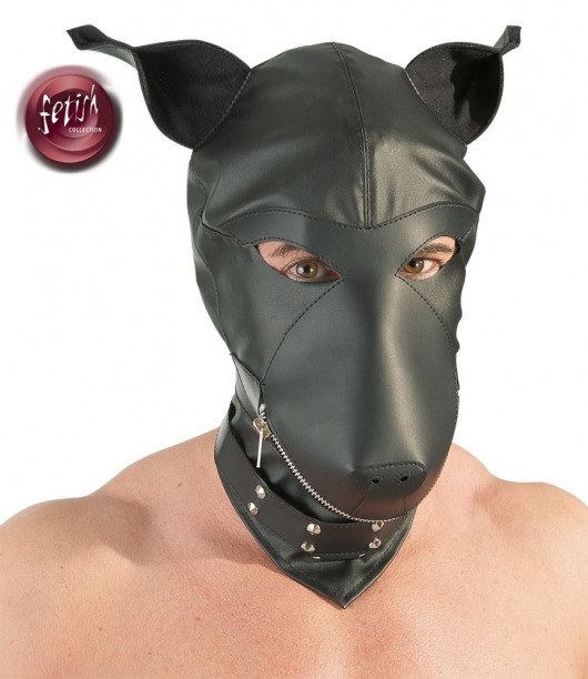 Шлем-маска Dog Mask в виде морды собаки - Orion - купить с доставкой в Ачинске