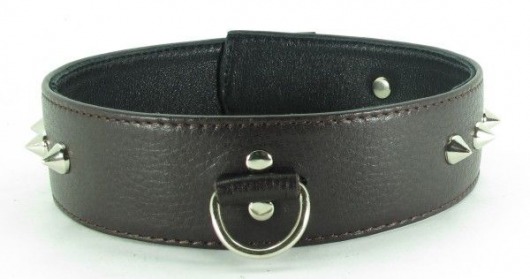 Коричневый кожаный ошейник с кольцом увеличенного размера - БДСМ Арсенал - купить с доставкой в Ачинске