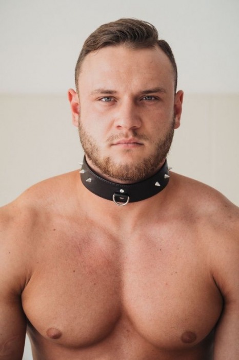 Коричневый кожаный ошейник с кольцом увеличенного размера - БДСМ Арсенал - купить с доставкой в Ачинске