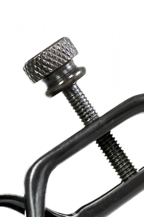 Черно-золотистые зажимы для сосков TOYFA Theatre - ToyFa - купить с доставкой в Ачинске